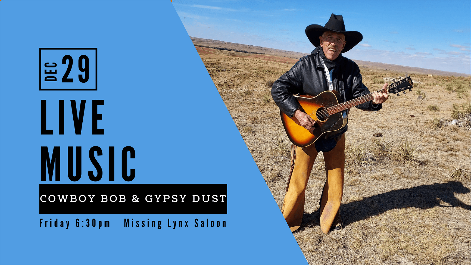 Cowboy Bob & Gypsy Dust appearing live in the Missing Lynx Saloon at Great Divide